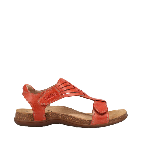 Taos Wonderful Bruschetta