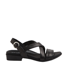 Load image into Gallery viewer, Diana Ferrari Supersoft Cevie Black