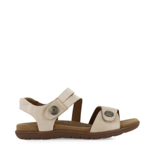 Load image into Gallery viewer, CBD Trophy Cement