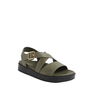 Ziera Glynice Olive