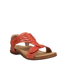 Load image into Gallery viewer, Taos Wonderful Bruschetta