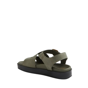 Ziera Glynice Olive