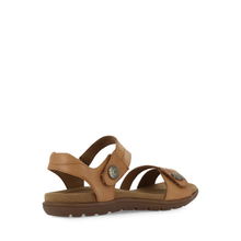 Load image into Gallery viewer, CBD Trophy Tan