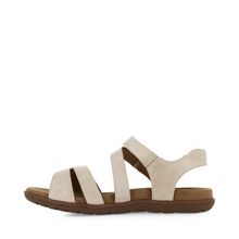 Load image into Gallery viewer, CBD Trophy Cement