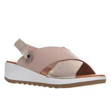 Load image into Gallery viewer, Stegmann Zebra Blush Soft Gold