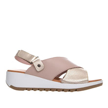Load image into Gallery viewer, Stegmann Zebra Blush Soft Gold