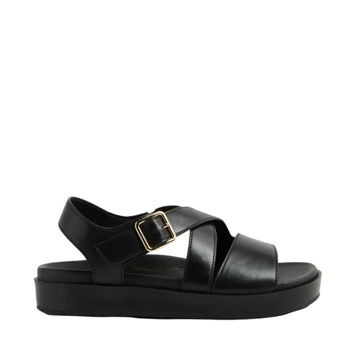 Ziera Glynice Black