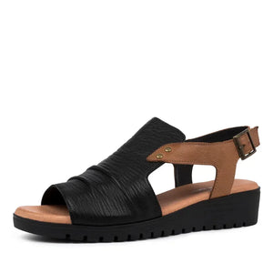 Django and Juliette Madis Dark Almond