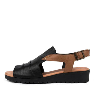 Django and Juliette Madis Dark Almond