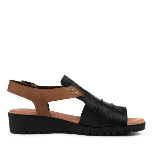 Django and Juliette Madis Dark Almond