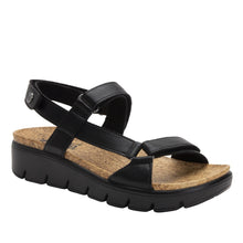Load image into Gallery viewer, Alegria Henna Black