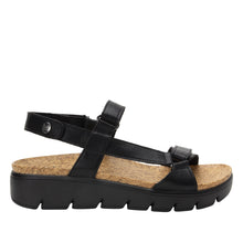 Load image into Gallery viewer, Alegria Henna Black