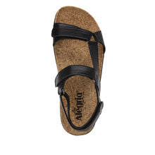 Load image into Gallery viewer, Alegria Henna Black