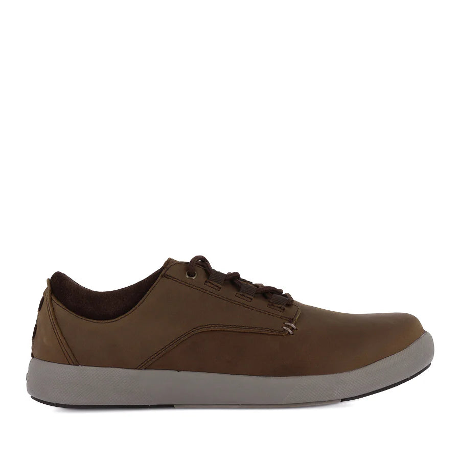 Slatters Griffin Brumby