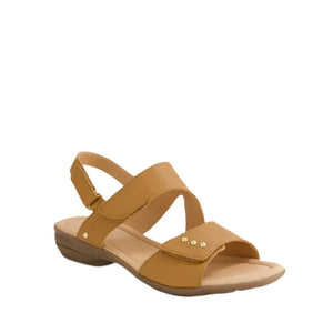 Supersoft Bills Dk Tan-Gum