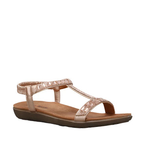 Ccresorts Usha Rose Gold