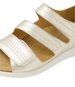 Ziera Bardot Xw Pale Gold