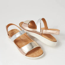 Load image into Gallery viewer, Ziera Benji Xw Metallic Multi