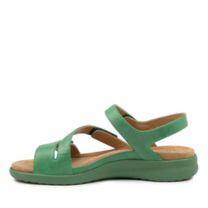 Ziera Boyde XW-ZR Spearmint