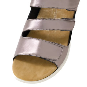 Ziera Bexleys Xw