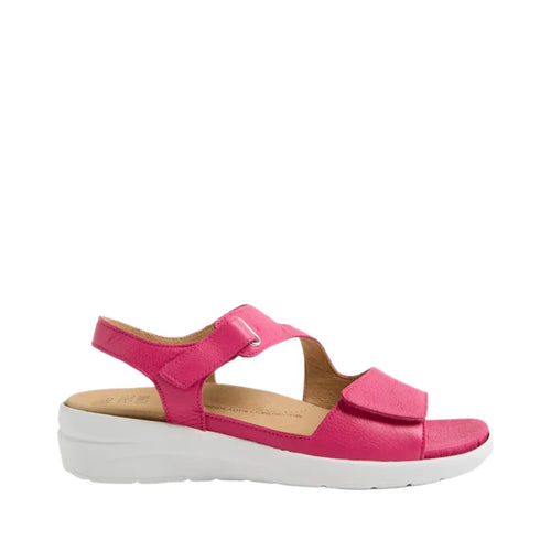 Ziera Nila Fuchsia