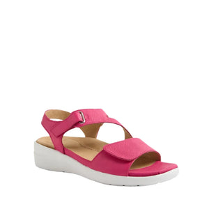Ziera Nila Fuchsia