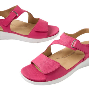Ziera Nila Fuchsia